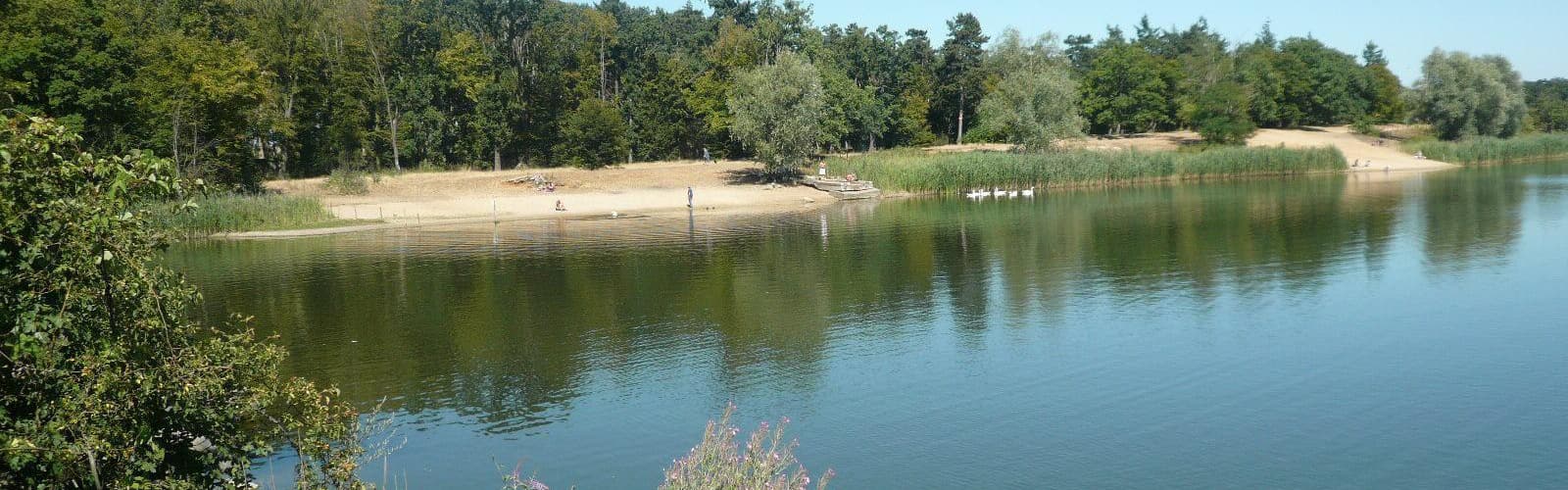 Lac en forêt